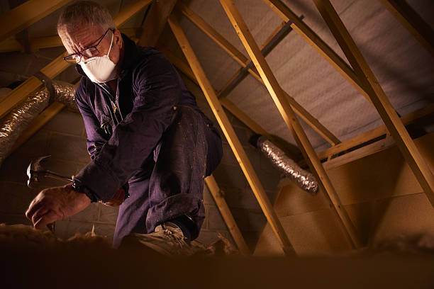 Best Cellulose Insulation in Rock Hill, NY